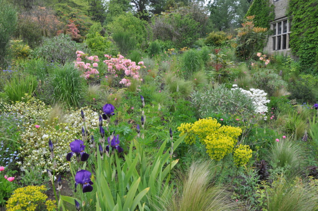 Chelsea Flower Show