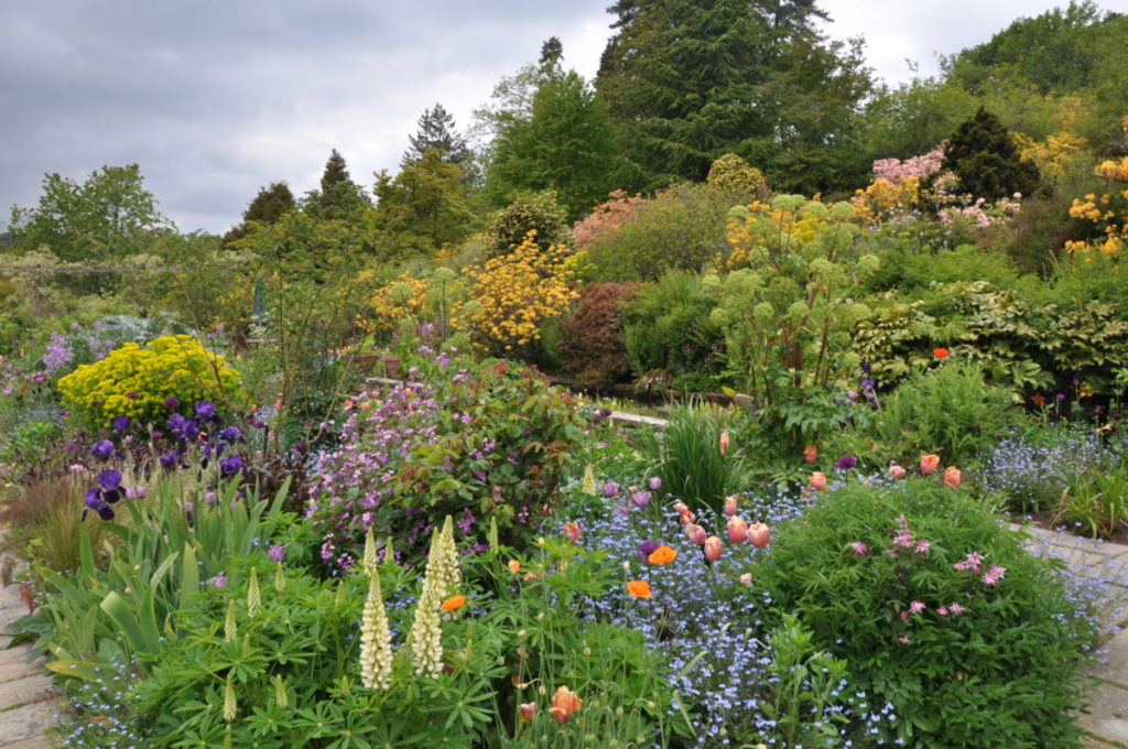 Chelsea Flower Show