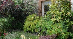 Colemore Gardens