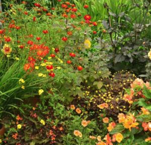 De Kleine Plantage