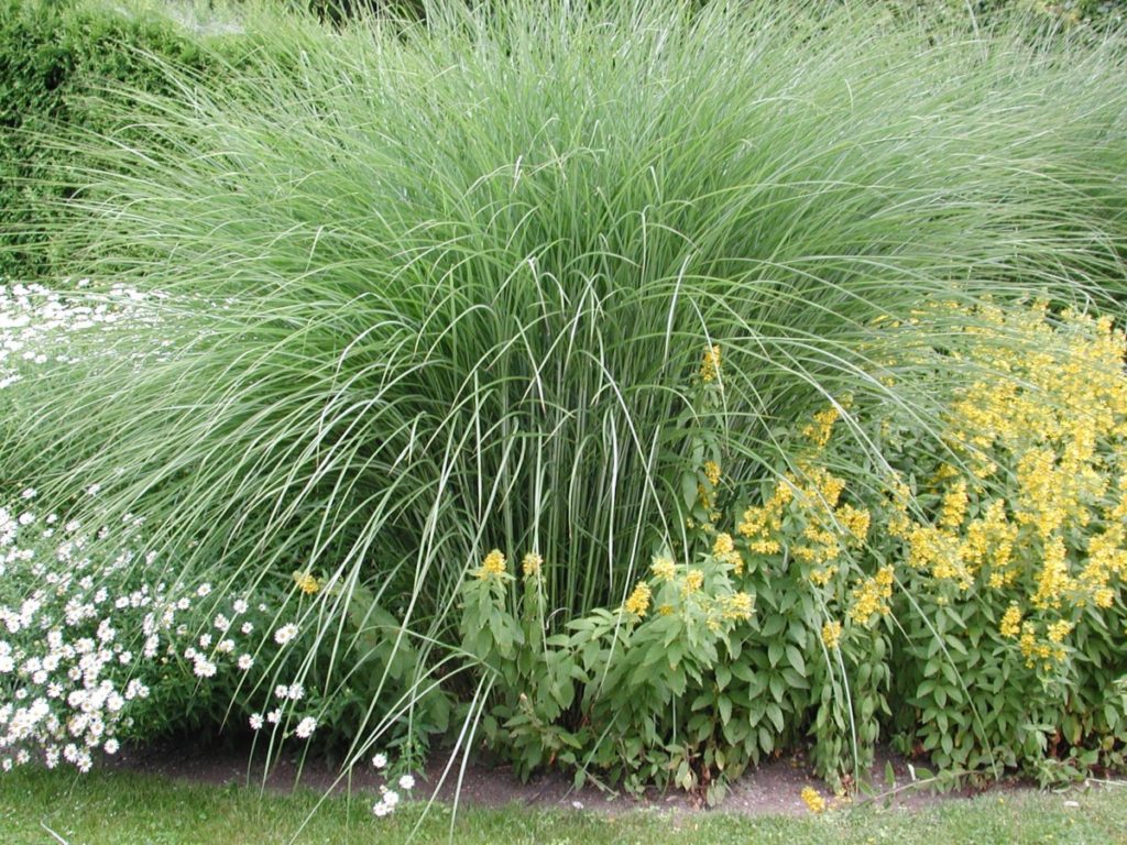 Drielanden tuinreis