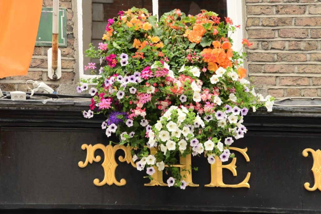 Dublin