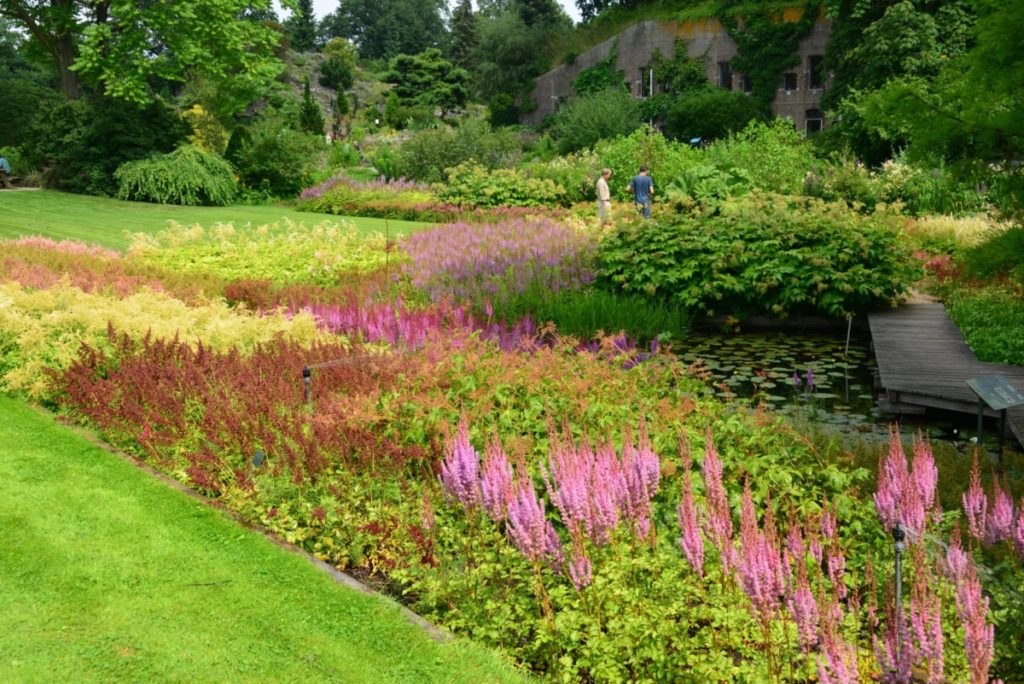 molecuul kwartaal Uitputting Mooiste tuinen van Nederland? | De keuzes van Garden Tours