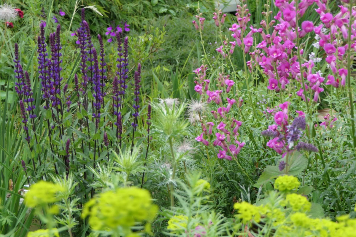 Groene Highlights van Ierland