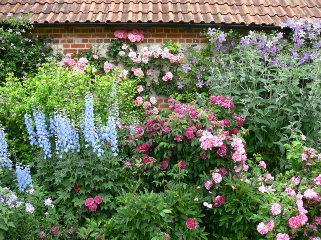 Hampshire