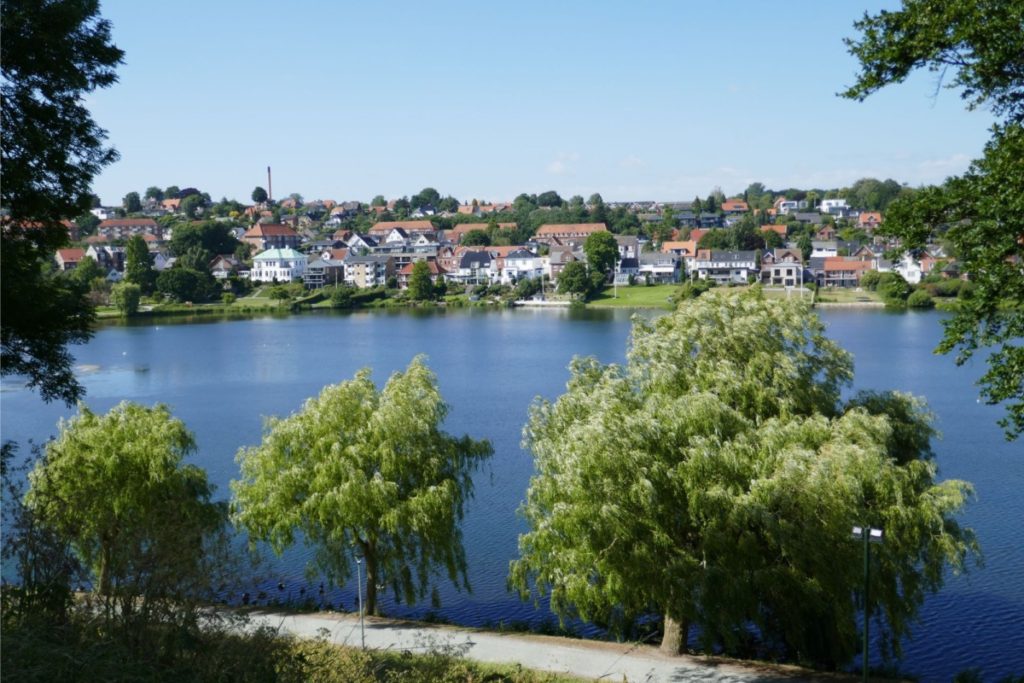 Nederlandse Rozenvereniging