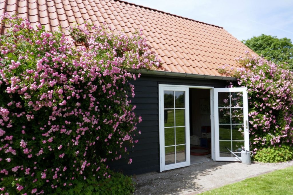 Nederlandse Rozenvereniging