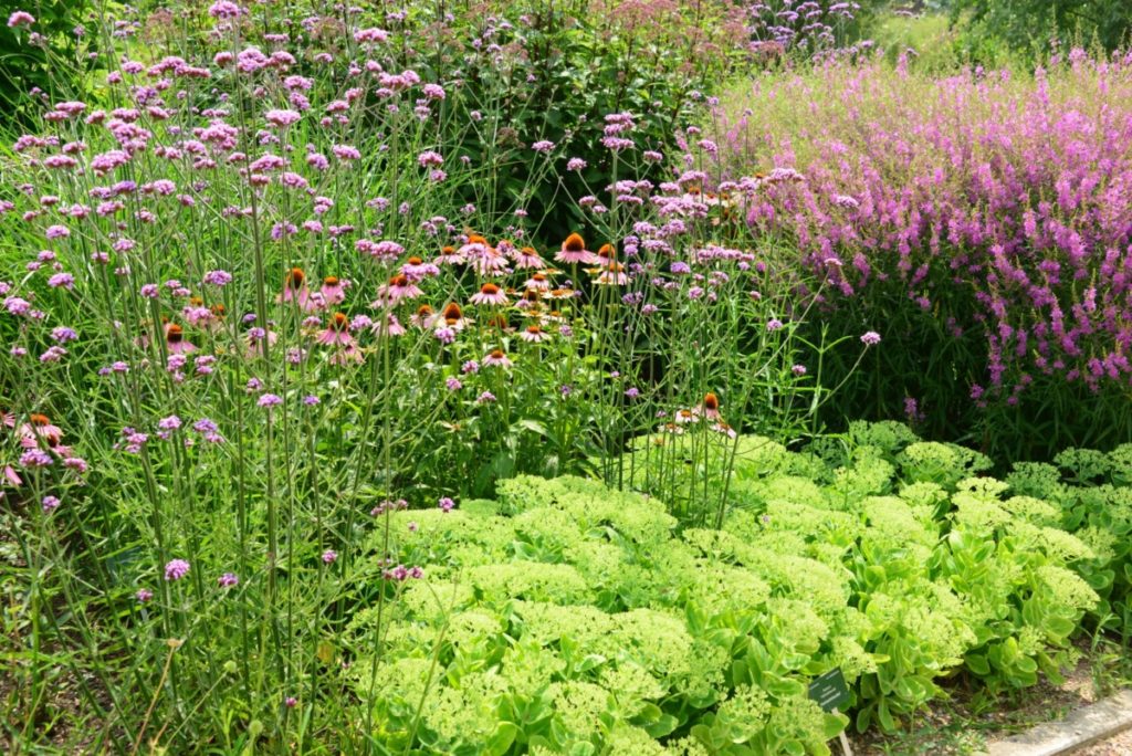 Plantzoentje