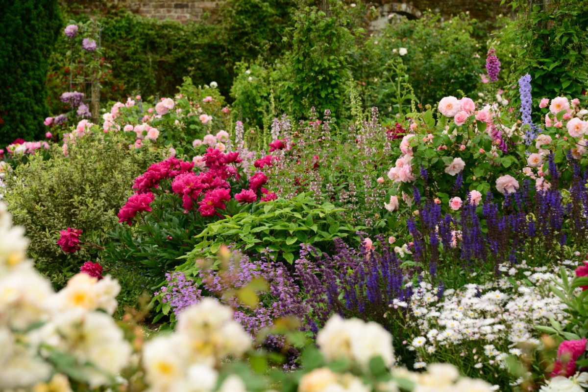 Roze tuinreis naar Zuidoost-Engeland