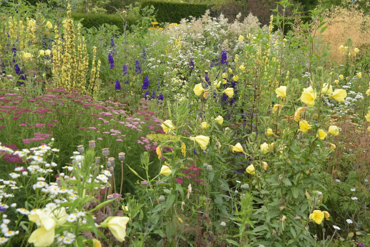 Roze tuinreis naar Zuidoost-Engeland