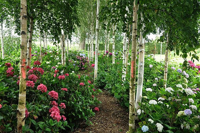 Tuinreis naar Brabant