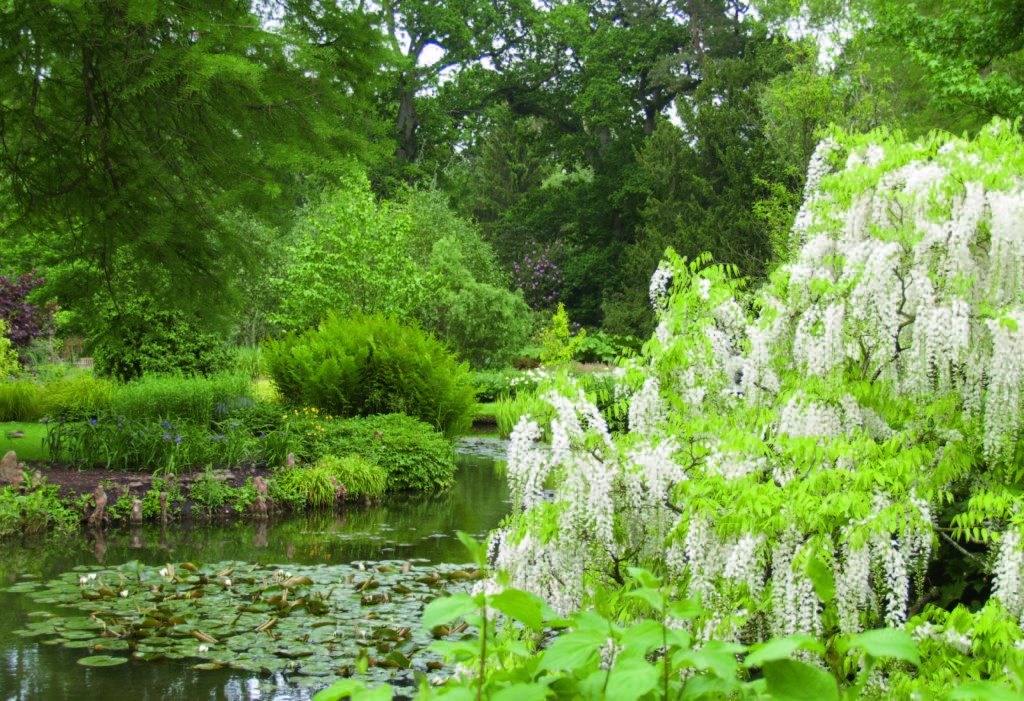 Tuinreis naar Hampshire