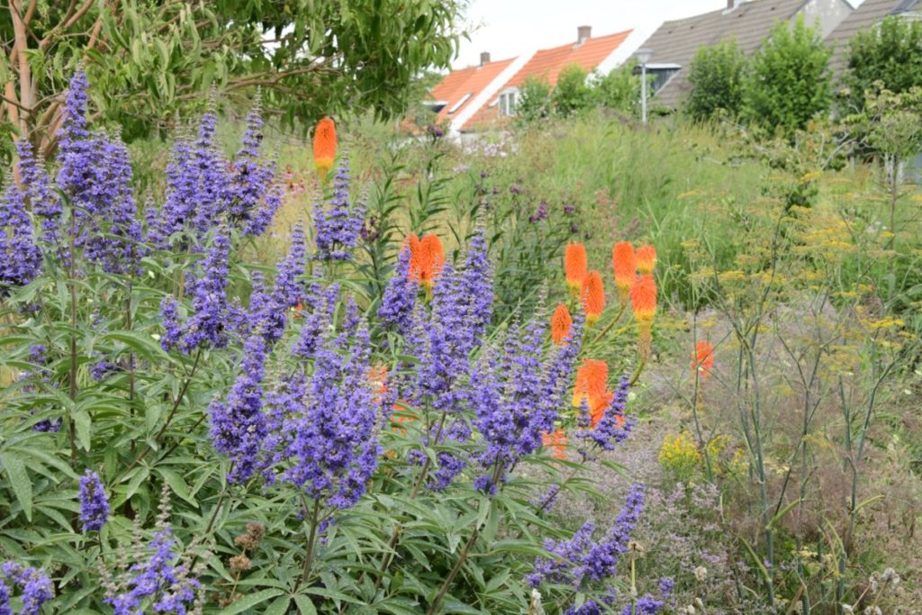 Tuinreis naar de Achterhoek