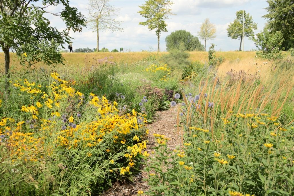 Tuinreis naar de Achterhoek