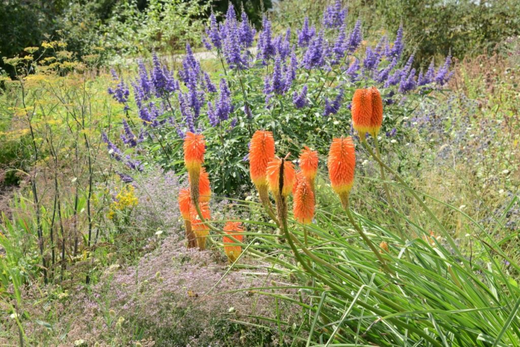 Tuinreis naar de Achterhoek
