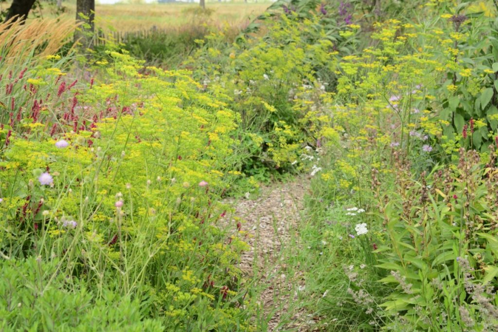 Tuinreis naar de Achterhoek
