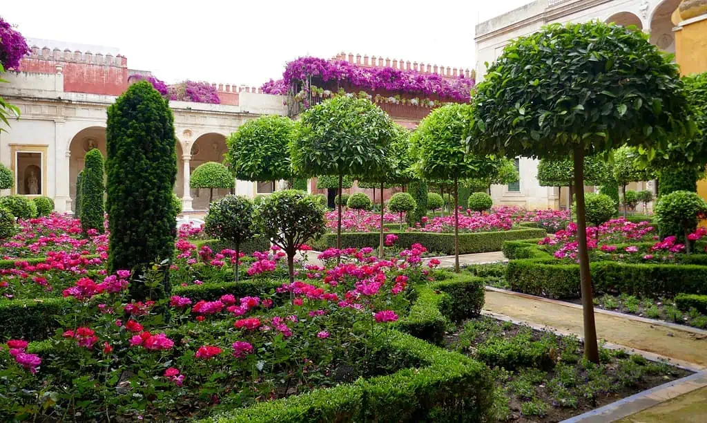 Een formele tuin met keurig gesnoeide heggen, vormsnoeibomen en levendige roze bloemen, omringd door historische stenen gebouwen en klimmende paarse bougainville. Paden verdelen de weelderige, symmetrische plantbedden.