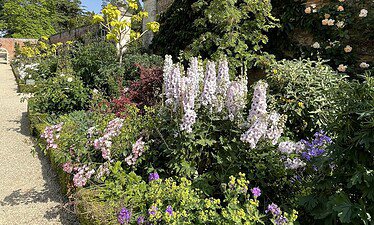 Een levendige tuin met verschillende kleurrijke bloemen en groene planten groeit naast een bakstenen muur onder een helderblauwe hemel in Oxfordshire, met een grindpad dat langs de tuinbedden loopt.