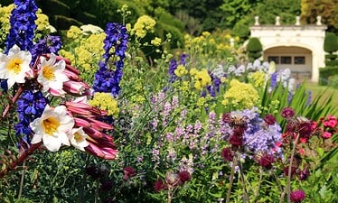 Een levendige tuin met kleurrijke bloemen in volle bloei, waaronder paarse, gele, witte en roze bloesems. Weelderige groene bomen en een klassieke witte tuinstructuur zijn zichtbaar op de achtergrond onder een helderblauwe hemel.