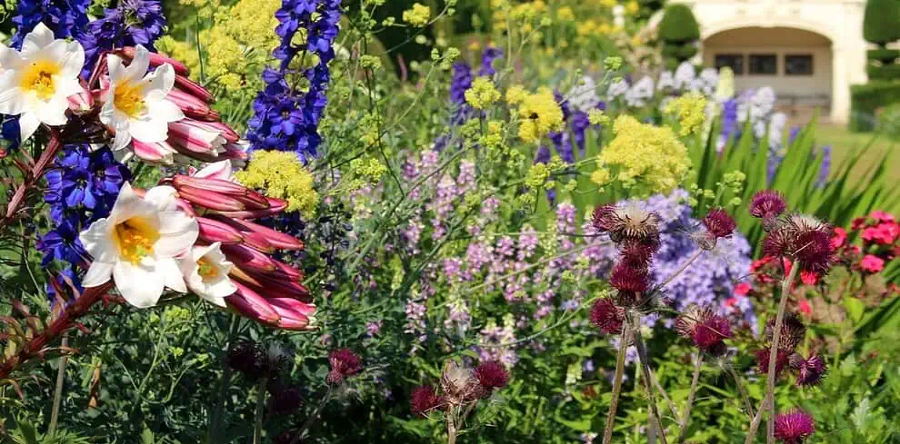 Een levendige tuin met kleurrijke bloemen in volle bloei, waaronder paarse, gele, witte en roze bloesems. Weelderige groene bomen en een klassieke witte tuinstructuur zijn zichtbaar op de achtergrond onder een helderblauwe hemel.