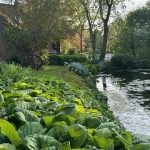 Churchfield Garden