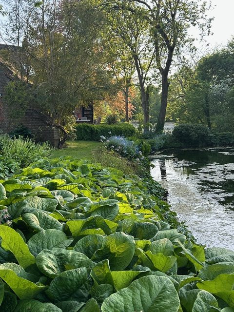 Churchfield Garden