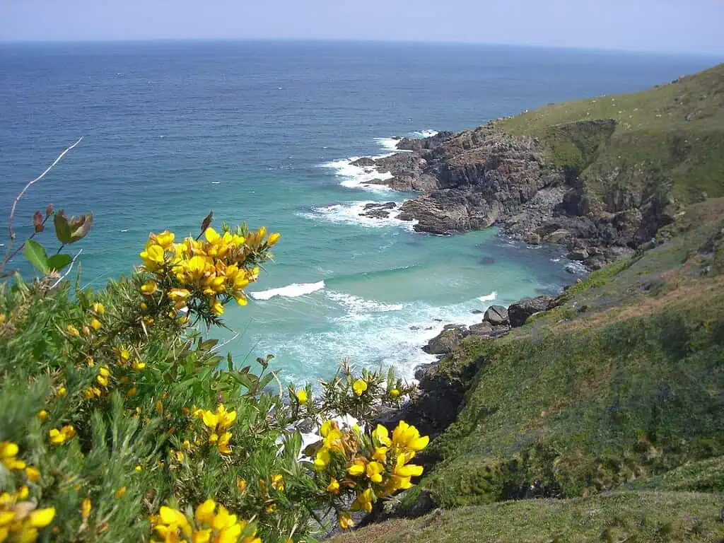 Een rotsachtige kustlijn in Cornwall met turquoise golven en groene kliffen, gele wilde bloemen op de voorgrond, onder een helderblauwe hemel - perfect voor een dromerige voorjaarsreis.