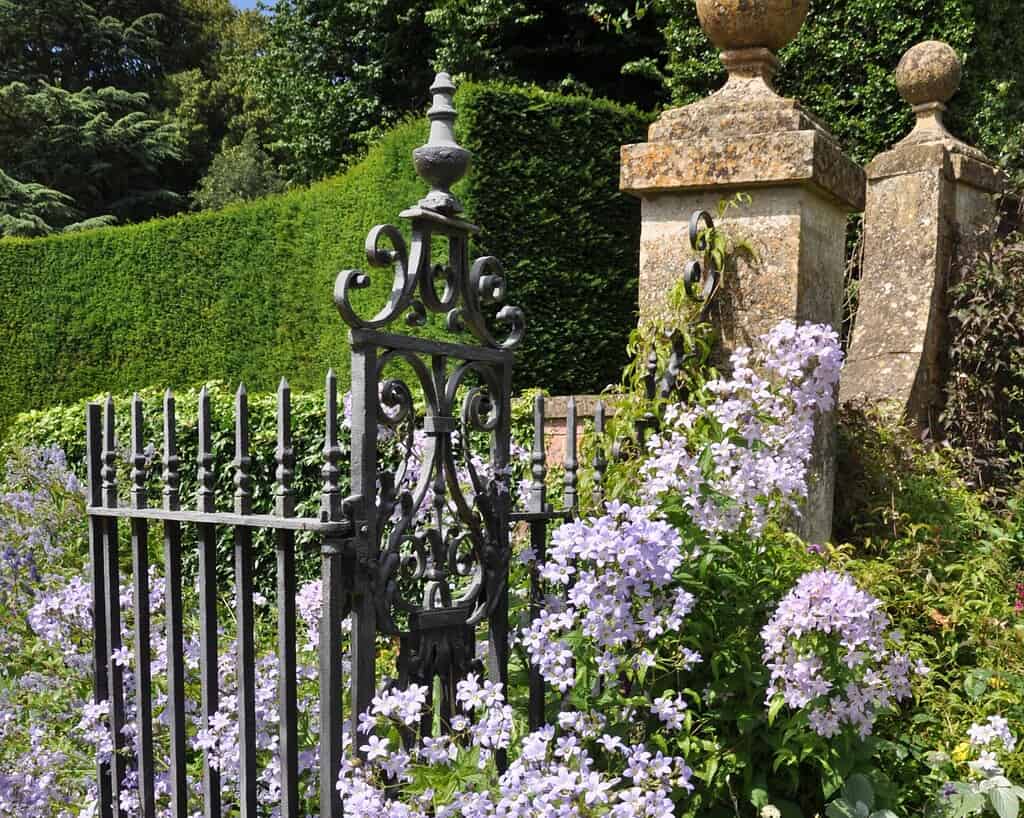 Een sierlijk zwart smeedijzeren hek staat tussen bloeiende lichtpaarse bloemen en weelderig groen, naast een verweerde stenen pilaar in een goed onderhouden tuin.