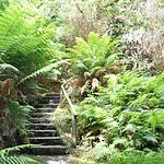 Derreen Gardens