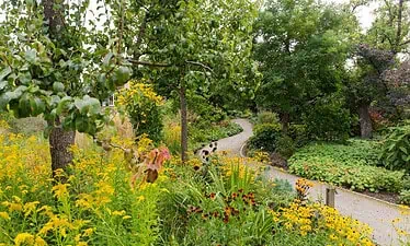 Een kronkelend pad kronkelt door groene oases, gevuld met gele, rode en oranje wilde bloemen, groene struiken en hoge bomen onder een heldere, licht bewolkte hemel langs de Rijn.
