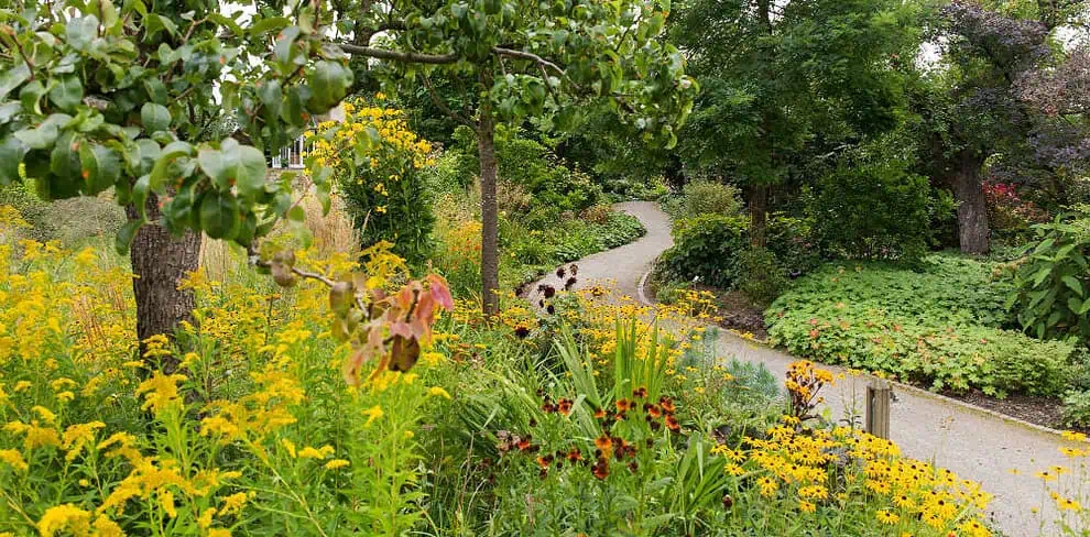 Een kronkelend pad kronkelt door groene oases, gevuld met gele, rode en oranje wilde bloemen, groene struiken en hoge bomen onder een heldere, licht bewolkte hemel langs de Rijn.