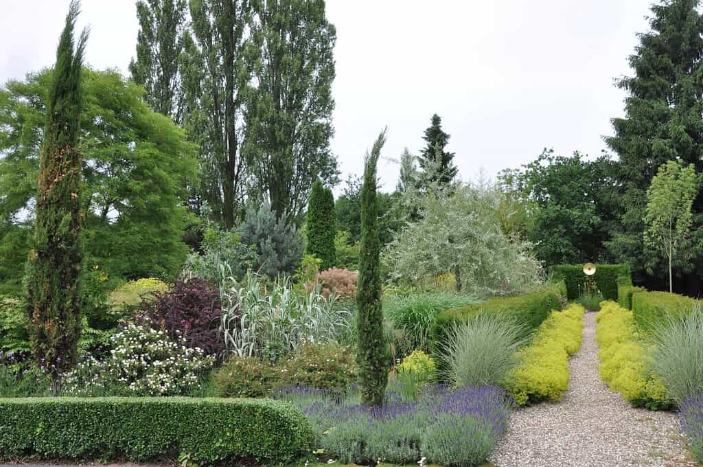 Een grindpad met gesnoeide hagen en lavendel leidt door een weelderige, kleurrijke tuin - een van de serene groene oases langs de Rijn - vol met verschillende bomen, struiken en bloeiende planten op een bewolkte dag.
