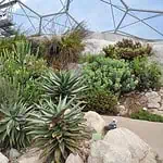 Eden Project