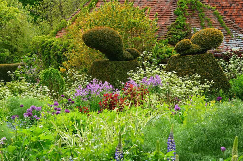 Great Dixter