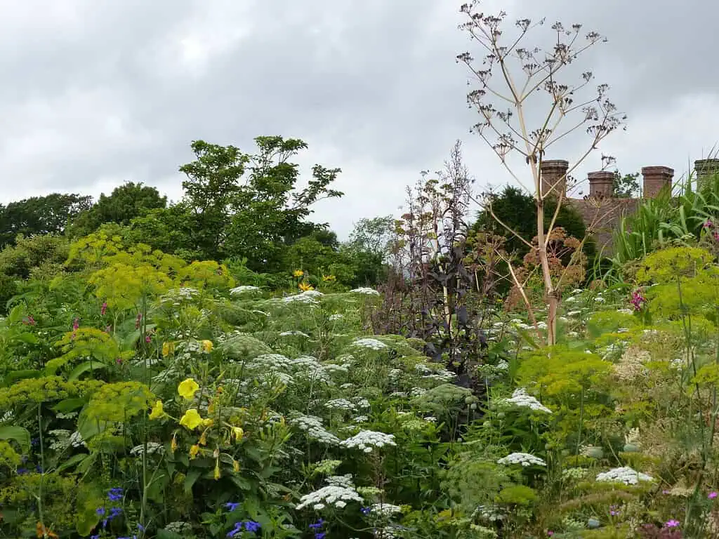 Great Dixter
