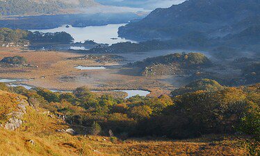 Uitzicht op een schilderachtige vallei in Ierland met een kronkelend meer, omringd door glooiende heuvels en bergen. Mist stijgt op boven het water en de bomen, terwijl groene accenten in het gebladerte zorgen voor een serene sfeer in de vroege ochtend.