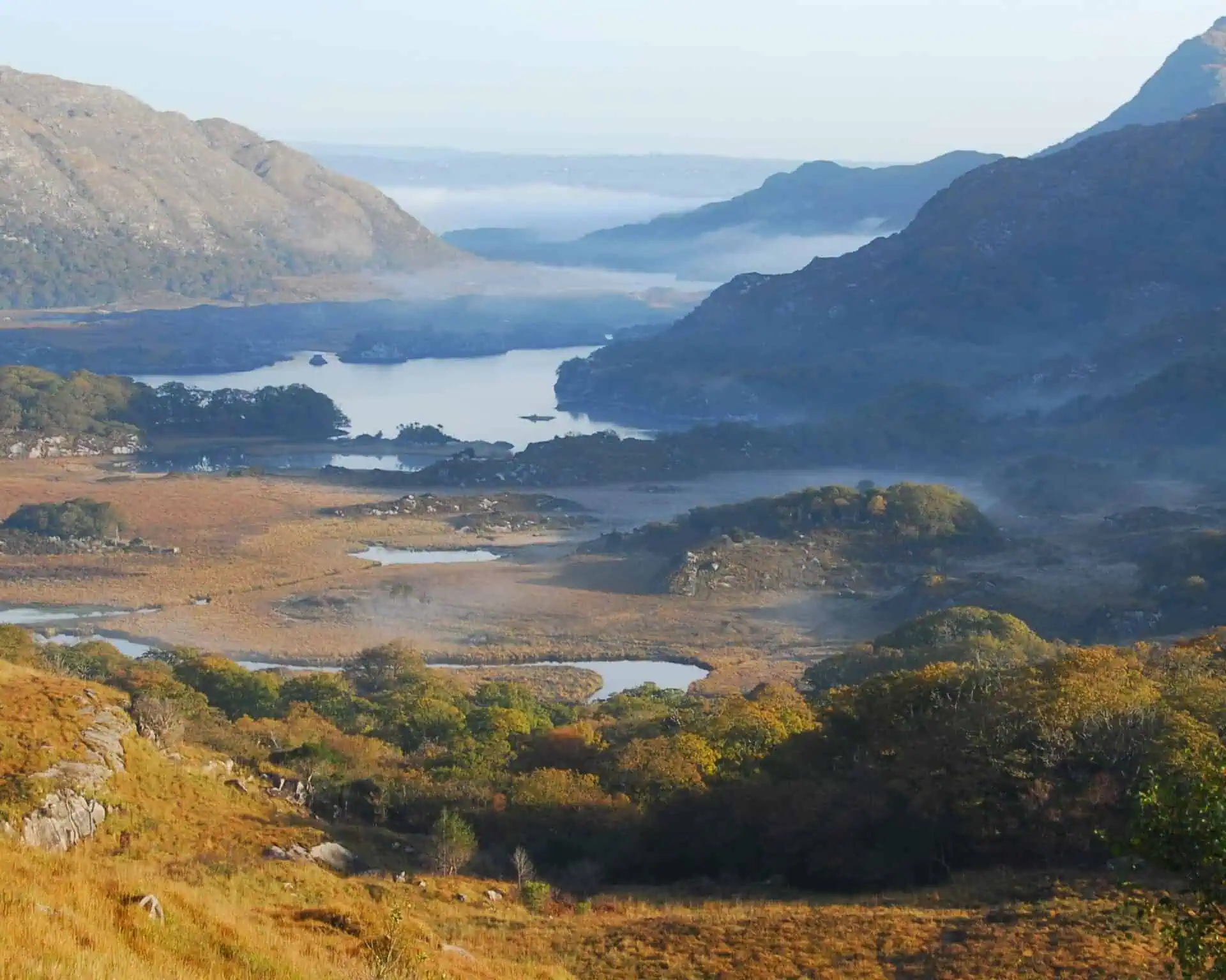 Uitzicht op een schilderachtige vallei in Ierland met een kronkelend meer, omringd door glooiende heuvels en bergen. Mist stijgt op boven het water en de bomen, terwijl groene accenten in het gebladerte zorgen voor een serene sfeer in de vroege ochtend.