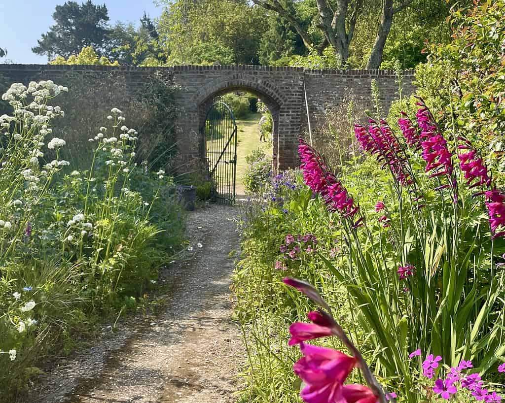 Een zonovergoten tuinpad op het Isle of Wight, omzoomd met wilde bloemen, leidt naar een bakstenen poort met een metalen hek. Hoge groene planten en roze bloemen omlijsten het uitzicht, met bomen en gras zichtbaar achter de boog.