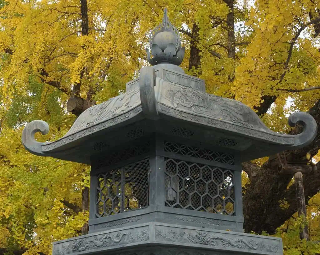 Een close-up van een decoratieve stenen lantaarn met ingewikkeld snijwerk tegen een achtergrond van goudgele herfstbladeren aan grote bomen.