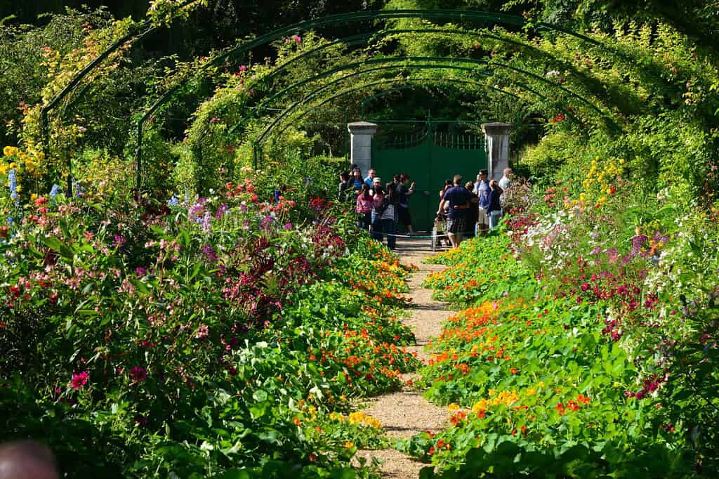 Jardin Monet