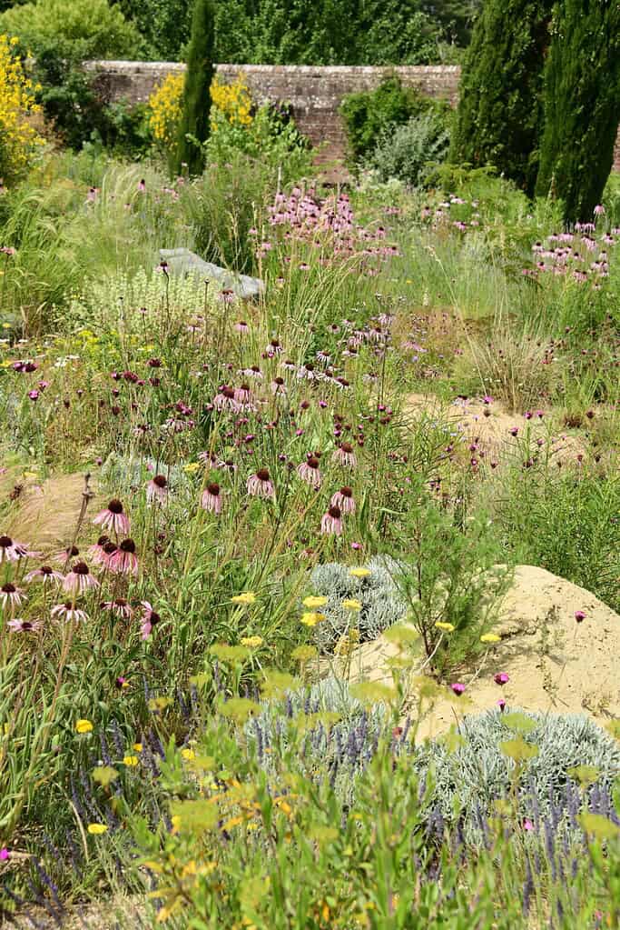 Kent Prive tuinen (8)