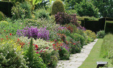 Een stenen pad loopt door een weelderige tuin vol kleurrijke bloemen en groene struiken, die doet denken aan een Kent & Sussex nazomerreis. Gesnoeide heggen en bomen omlijsten het tafereel onder een heldere hemel.