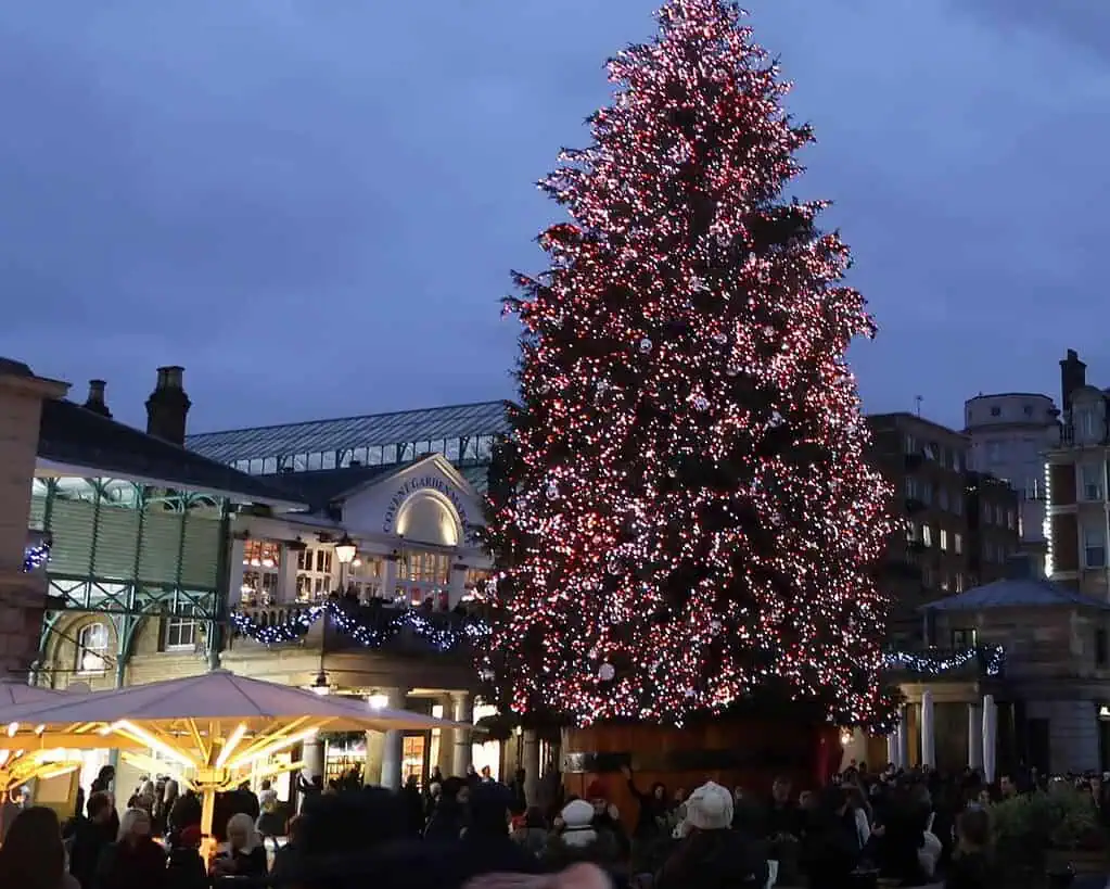 Een grote kerstboom bedekt met rode en witte lichtjes staat in de schemering op een druk plein buiten en straalt wintersfeer uit. Mensen verzamelen zich eromheen terwijl de omliggende gebouwen van Sussex zijn versierd met feestelijke lichtjes.