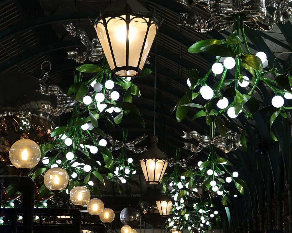 Kent wintersfeer (8)