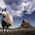 Lindisfarne