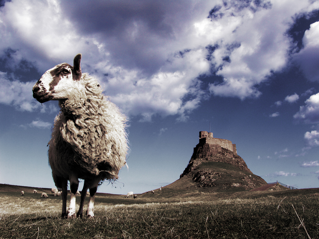 Lindisfarne