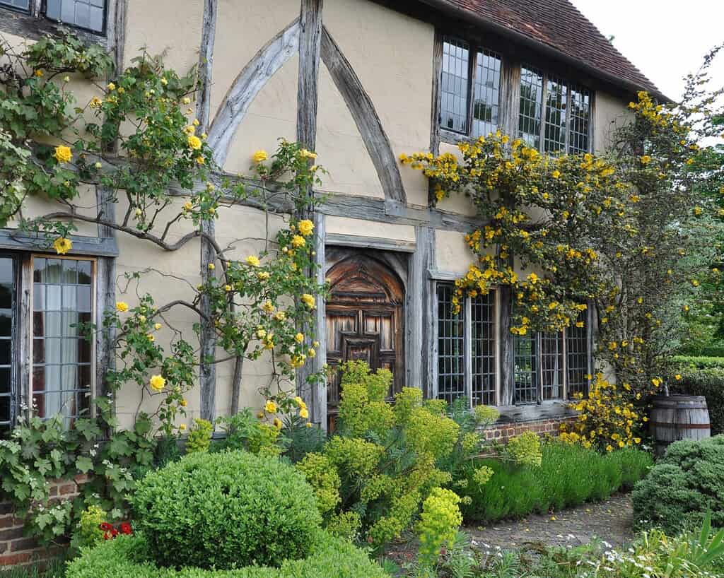 Marieke nolsen tuinavontuur (1)