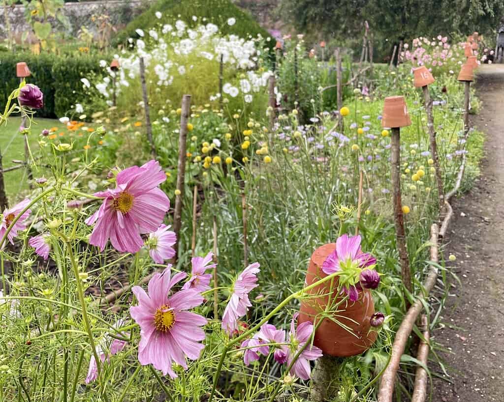 Marieke nolsen tuinavontuur (5)
