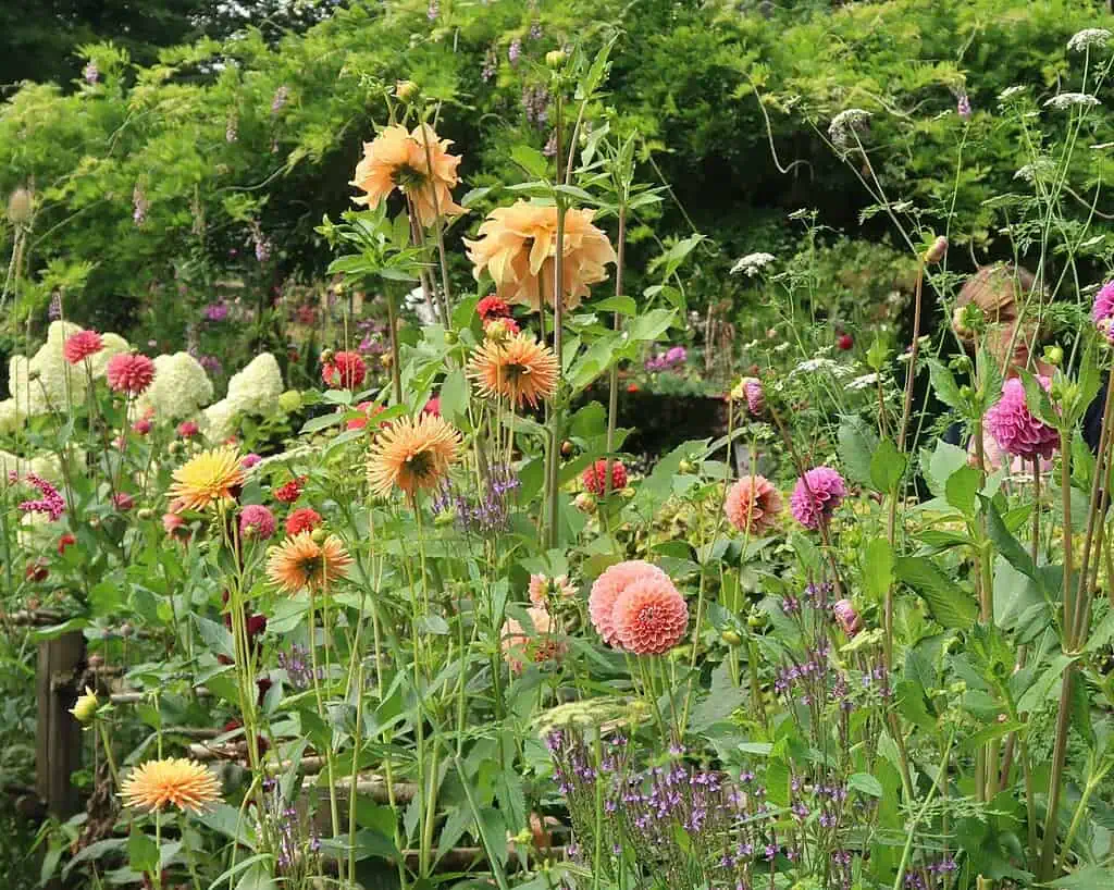 Marieke nolsen tuinavontuur (7)