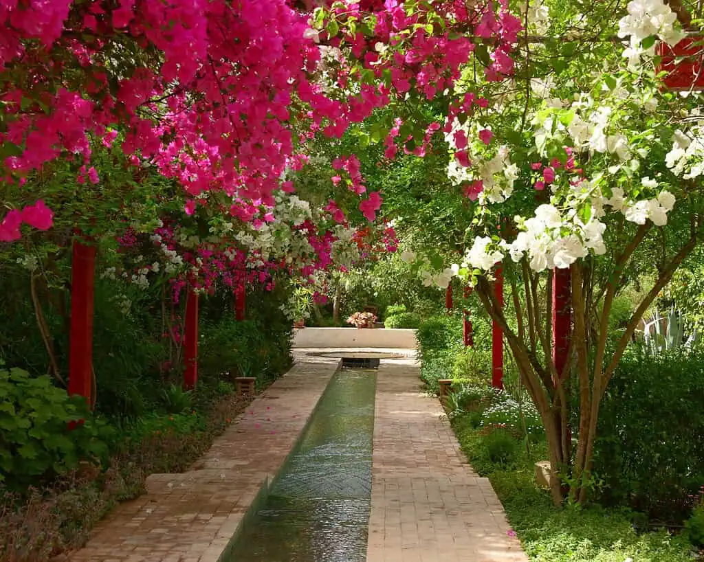 Een smal waterkanaal loopt door een stenen pad, in de schaduw van weelderige bomen met levendige roze en witte bloemen. Groen gebladerte omzoomt de zijkanten en creëert een rustig tuintafereel.
